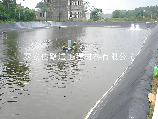魚(yú)蝦養(yǎng)殖防滲膜選黑還是白？掌握這些原則不選錯(cuò)